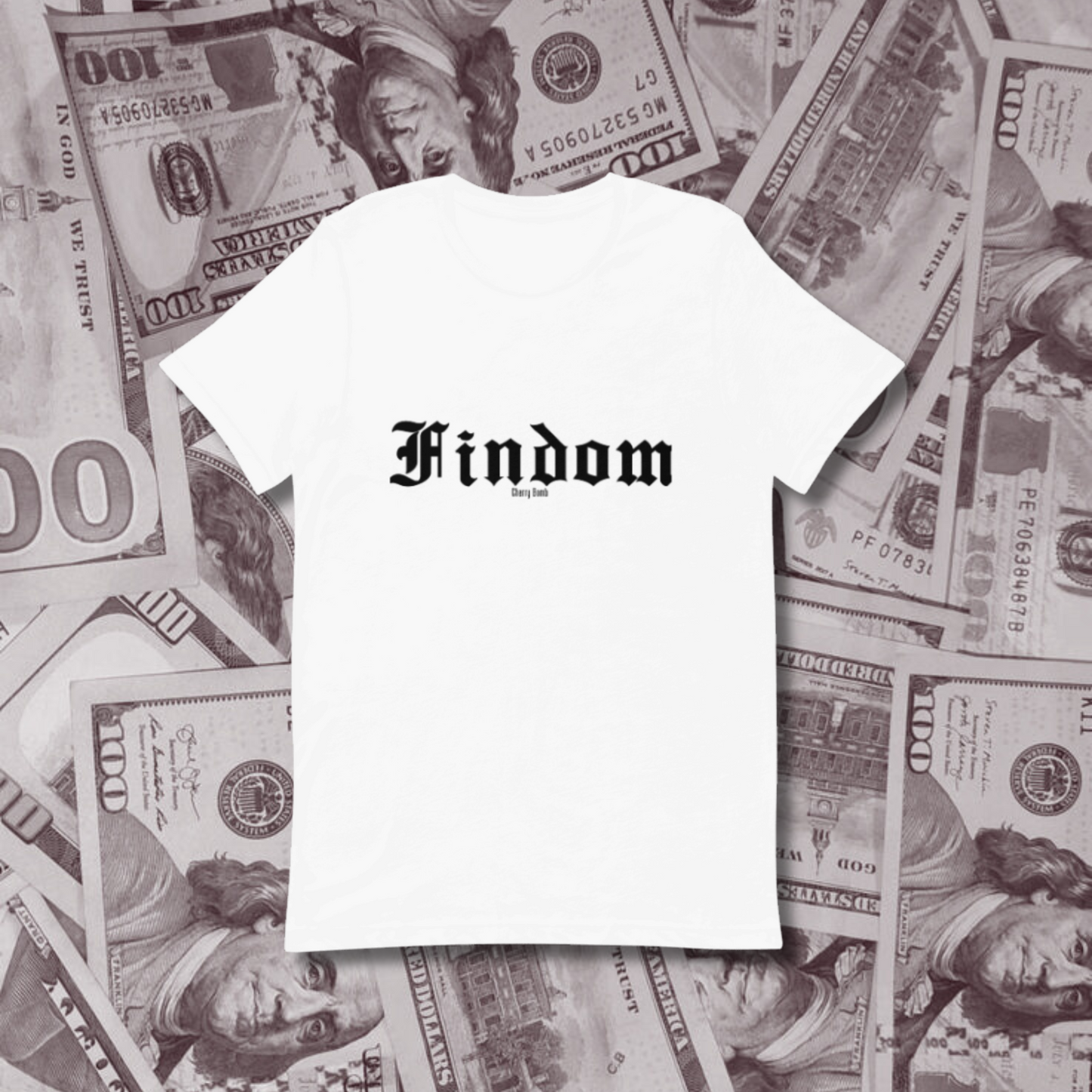 Findom T Shirt
