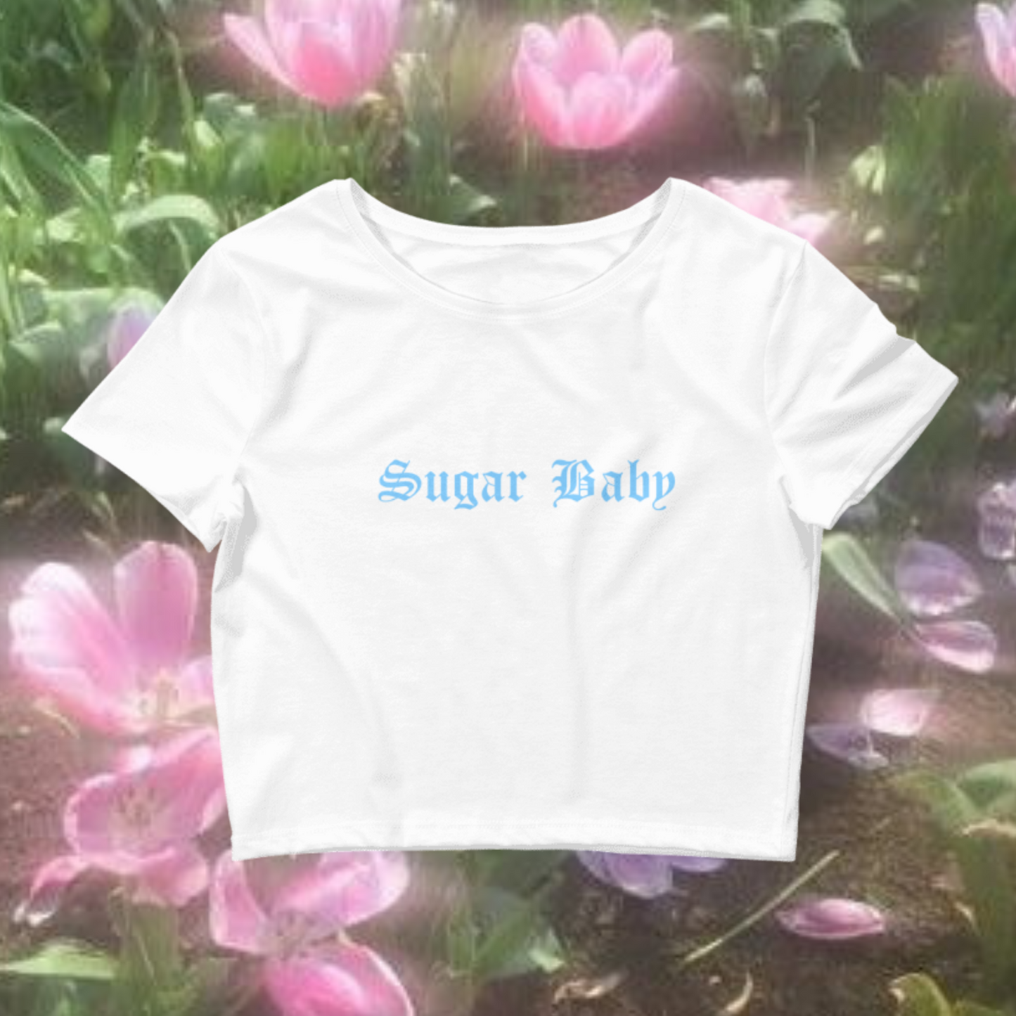 Sugar Baby Crop
