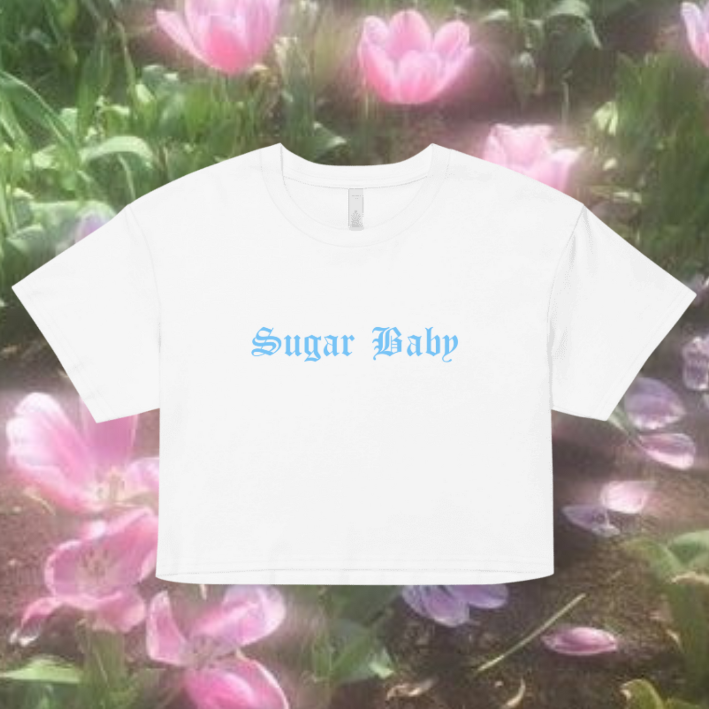 Sugar Baby Crop